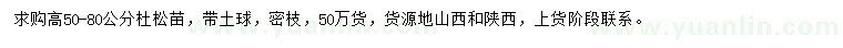 求購高50-80公分杜松