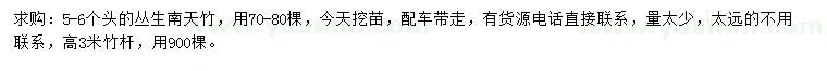 求購高3米南天竹