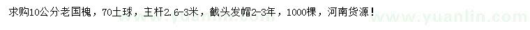 求購10公分老國槐