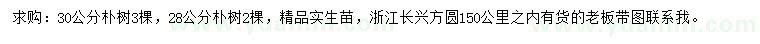 求購28、30公分樸樹