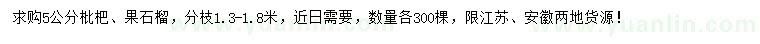 求購(gòu)5公分枇杷、果石榴