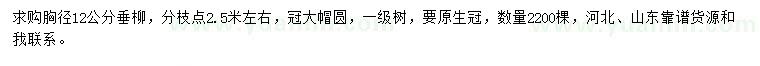 求購胸徑12公分垂柳