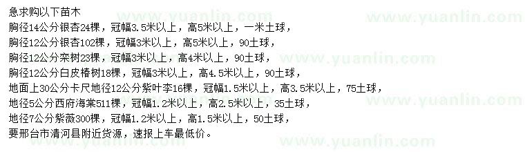 求購銀杏、欒樹、白皮椿樹等