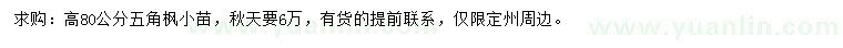 求購高80公分五角楓