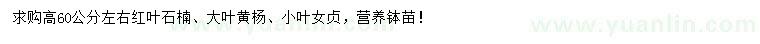 求購紅葉石楠、大葉黃楊、小葉女貞