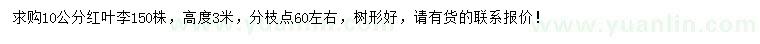 求購(gòu)10公分紅葉李