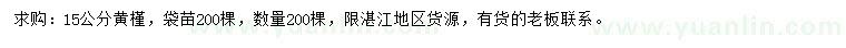 求購15公分黃槿