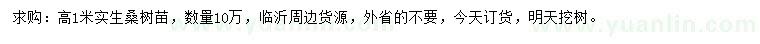 求購高1米桑樹苗
