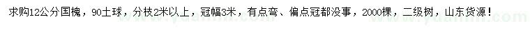 求購12公分國槐