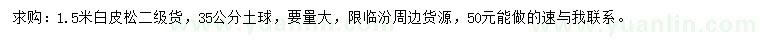 求購1.5米白皮松
