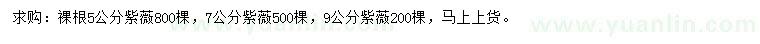 求購5、7、9公分紫薇