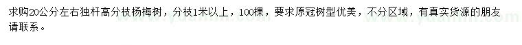 求購(gòu)20公分左右楊梅樹(shù)