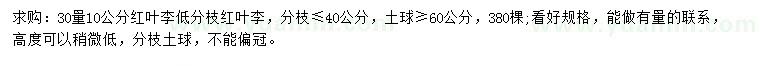 求購30量10公分紅葉李