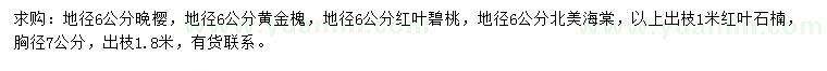 求購(gòu)?fù)頇?、黃金槐、紅葉碧桃等