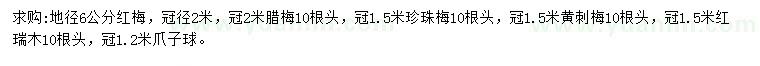 求購紅梅、臘梅、珍珠梅等