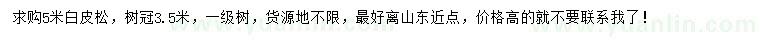 求購5米白皮松