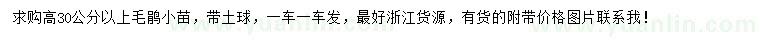 求購(gòu)高30公分以上毛鵑小苗