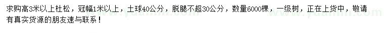 求購高3米以上杜松