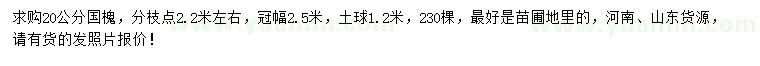 求購20公分國槐