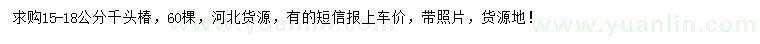 求購15-18公分千頭椿