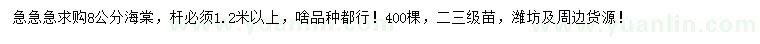 求購(gòu)8公分海棠