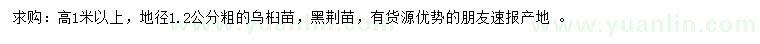 求購高1米以上烏桕、黑荊