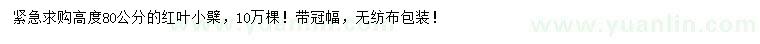 求購高80公分紅葉小檗