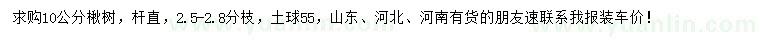 求購10公分楸樹