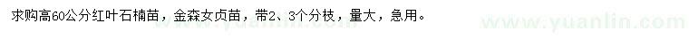 求購高60公分紅葉石楠、金森女貞