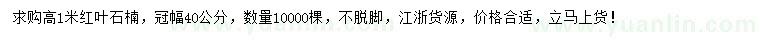 求購(gòu)高1米紅葉石楠