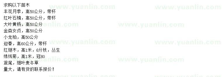 求購(gòu)豐花月季、紅葉石楠、大葉黃楊等