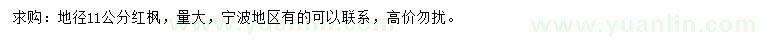 求購地徑11公分紅楓