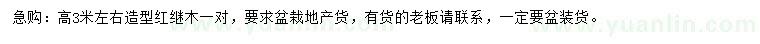 求購高3米左右紅繼木