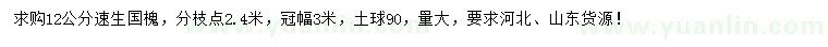 求購12公分速生國槐