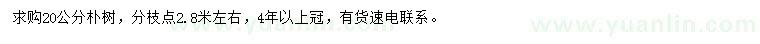 求購(gòu)20公分樸樹(shù)