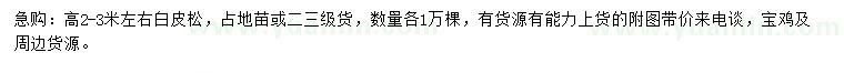 求購高2-3米左右白皮松