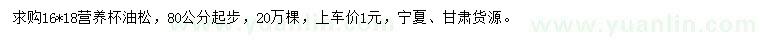 求購(gòu)80公分起步油松