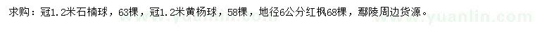 求購石楠、黃楊球、紅楓