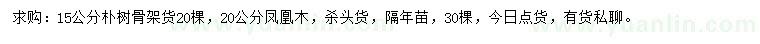 求購15公分樸樹、20公分鳳凰木