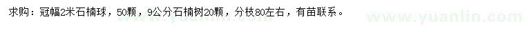 求購冠幅2米石楠