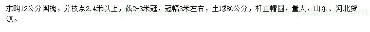 求購12公分國槐