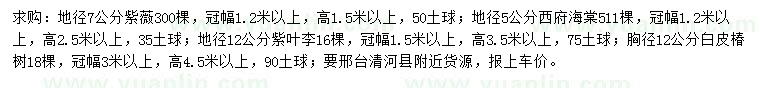 求購(gòu)垂絲、西府海棠、紫葉李等