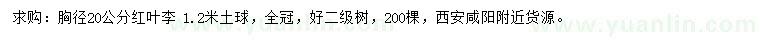 求購(gòu)胸徑20公分紅葉李