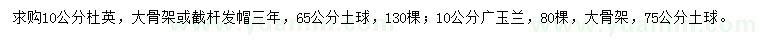 求購(gòu)10公分杜英、廣玉蘭