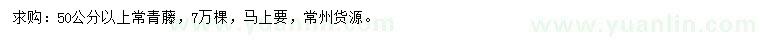 求購(gòu)50公分以上常青藤