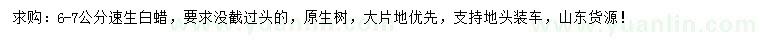 求購(gòu)6-7公分速生白蠟