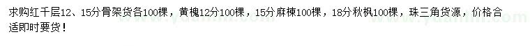 求購紅千層、黃槐、麻楝等