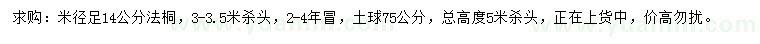 求購米徑足14公分法桐