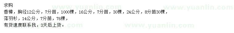 求購胸徑12、16、24公分香樟、14公分落羽杉