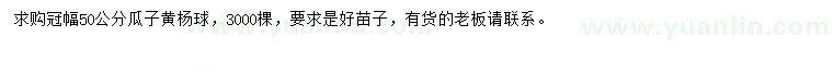 求購冠幅50公分瓜子黃楊球